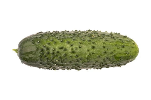 Verse Rauwe Komkommer Geïsoleerd Witte Achtergrond Met Clipping Pad — Stockfoto