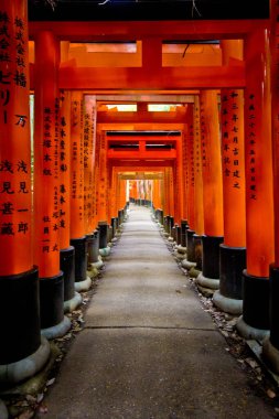 Japonya 'da Kyoto' daki Fushimi inari Budist Tapınağı 'ndaki Torii kapıları