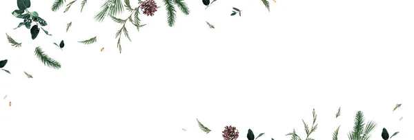 Emerald Christmas Greenery Spruce Fir Pine Cones Seasonal Vector Design — Stock Vector