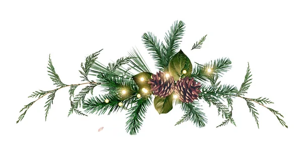 Emerald Christmas Greenery Spruce Fir Cedar Pine Cones Vector Design — Stock Vector