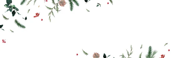Christmas Emerald Greenery Red Berry Cedar Salal Pine Cone Vector — Stock Vector