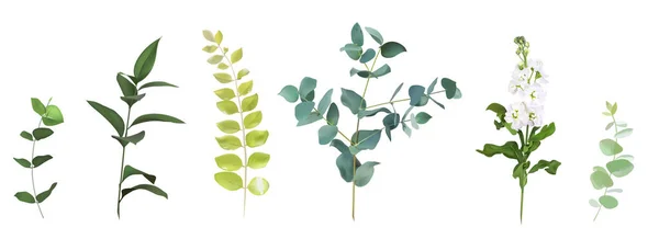 Μείγμα Ανοιξιάτικων Βοτάνων Και Φυτών Χαριτωμένο Ρουστίκ Γαμήλιο Πράσινο Πράσινος — Διανυσματικό Αρχείο