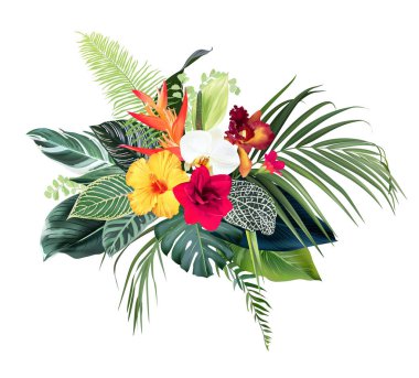Exotic tropical flowers, orchid, strelitzia, hibiscus, anthurium, palm, monstera, calathea leaves vector design bouquet. Jungle forest wedding floral design. Island greenery. Isolated and editable