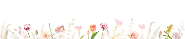 Bahar Laleleri Kızarık Pembe Gül Bej Soluk Çiçekler Kremalı Şakayık — Stok Vektör