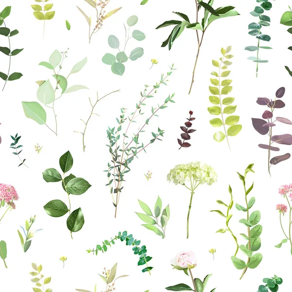 葉や野の花で夏の庭の緑のプリント アジサイ ユーカリ ハーブや植物 植物のパターンデザイン シームレスなベクトルパターン 白地のシンプルな背景 — ストックベクタ