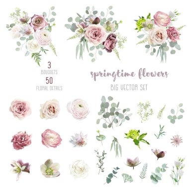 Mor gül, tozlu pembe lisianthus, serruria, kahverengi ve yeşil hellebores, ortanca, nane okaliptüs, yeşil vektör seti. Çiçekli düğün buketleri. Suluboya. İzole ve düzenlenebilir