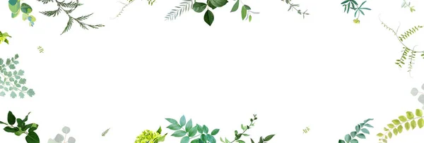 Herbal Minimalist Vector Banner Hand Painted Plants Branches Leaves White — Stock Vector