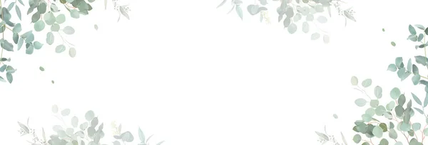 Травяной Эвкалиптовый Отбор Векторной Рамки Ручная Роспись Ветвей Листья Белом — стоковый вектор