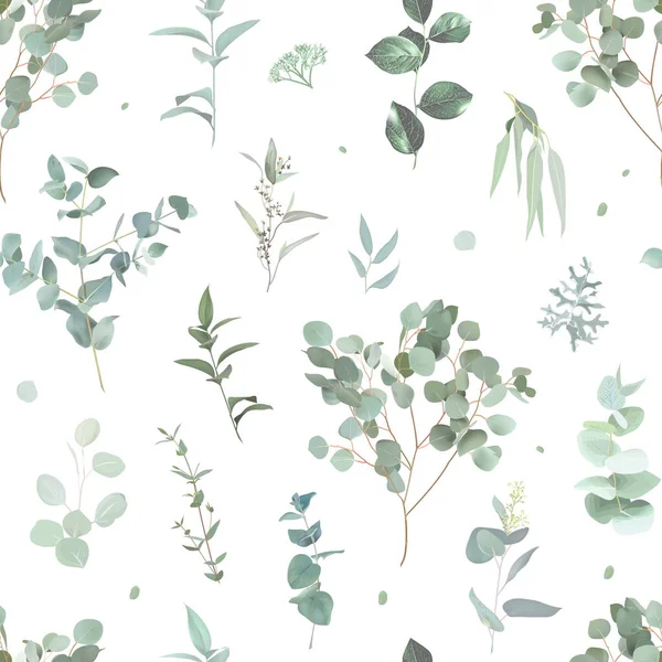 Eucalyptus Urval Grönska Tryck Med Blad Och Växter Botanisk Mönsterdesign — Stock vektor