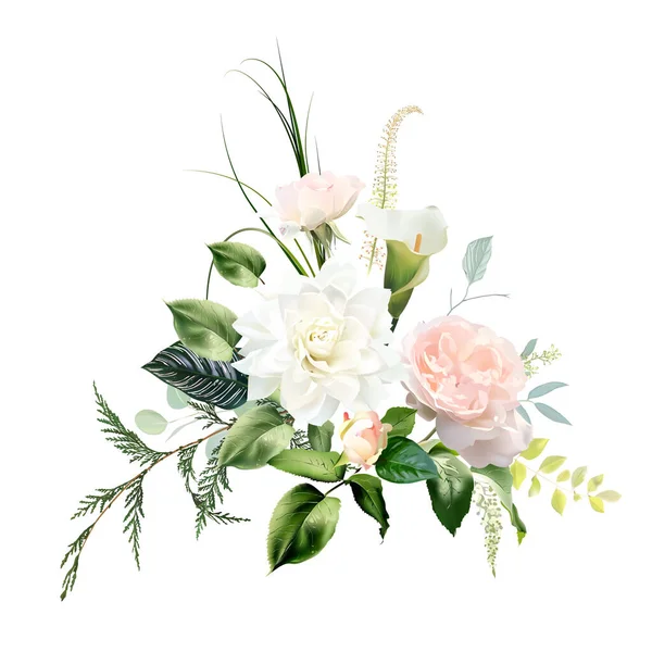Pembe Bahçe Gülü Beyaz Yıldız Çiçeği Beyaz Kalla Sedir Kalathea — Stok Vektör
