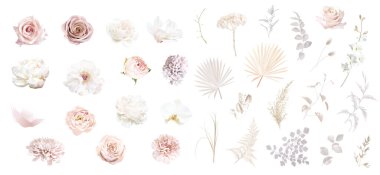 Boho beige and blush trendy vector design flowers. Pastel pampas grass, ivory peony, orchid, dahlia, ranunculus, dusty pink rose, lagurus, dried leaf. Wedding floral.Elements are isolated and editable clipart