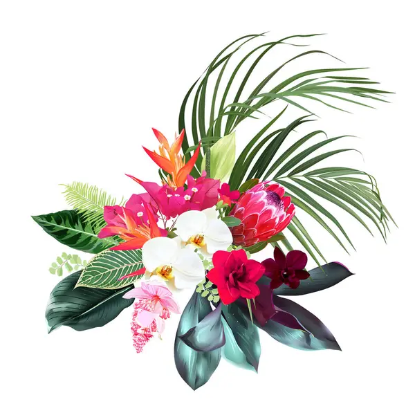 Exotické Tropické Květiny Orchideje Strelitzia Růžová Medinilla Protea Palma Monstera — Stockový vektor