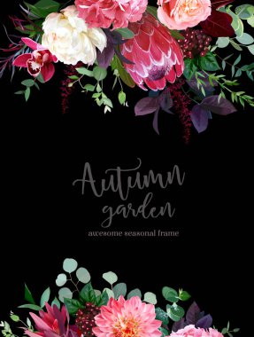 Sonbahar çiçekleri vektör tasarım çerçevesi. Protea çiçeği, şeftali rengi mercan bahçesi gülü, bordo kırmızısı astilbe, pembe yıldız çiçeği, orkide, şakayık, yeşillik ve böğürtlen. Sonbahar düğünü çiçekleri. İzole ve düzenlenebilir