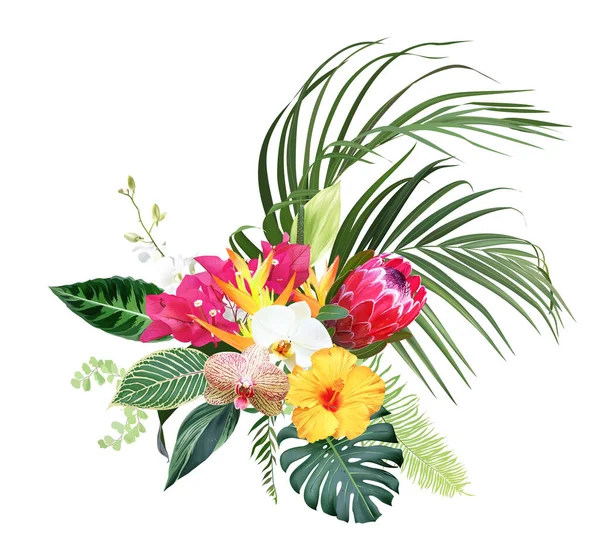 Exotic tropical flowers, orchid, strelitzia, yellow hibiscus, protea, palm, monstera, calathea leaves vector design bouquet. Jungle forest wedding floral design. Island greenery. Isolated and editable