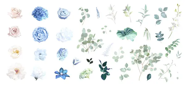 蓝色玫瑰和鼠尾草绿色桉树 象牙牡丹 木兰花 尘土飞扬的蓝色水仙花 兰花病媒收集 花冠水彩画婚礼套件 所有元素都是孤立和可编辑的 矢量图形