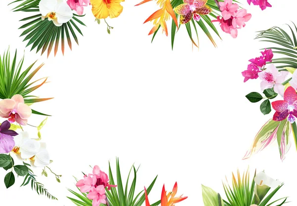 热带旗帜由奇异的翡翠叶和奇异的花朵组成 天堂植物 绿叶和棕榈卡片 时尚风格的框架 婚礼设计 不是所有的叶子都被切割 孤立和可编辑的 图库矢量图片