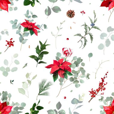 Noel kırmızı noktalama seti, kırmızı böğürtlen, sedir, salal, çam kozalağı, dikişsiz tasarım deseni. Kış şık düğünü ya da yeni yıl kağıt baskısı. Suluboya minimalist tarzı. İzole ve düzenlenebilir