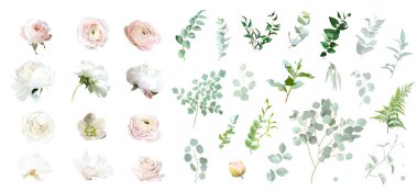 Pembe gül, beyaz şakayık, manolya, kızarık pembe ranunculus, okaliptüs, karadelik, orkide, yeşil vektör yay seti. Çiçekli yaz suluboya. Düğün çiçekleri. Elementler izole ve düzenlenebilir.