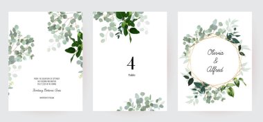 Bitkisel okaliptüs seçim vektör çerçeveleri. El boyaması dallar, beyaz arka planda yapraklar. Yeşillik düğünü basit minimalist davetiyeler. Suluboya kartları. Elementler izole ve düzenlenebilir.
