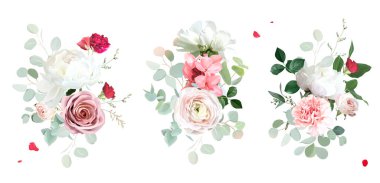 Kırmızı ve pembe gül, beyaz şakayık, allık pembe ranunculus, okaliptüs, yeşil ortanca, adaçayı yeşili vektör tasarımı düğün bahar buketleri. Çiçekli yaz suluboya. Elementler izole ve düzenlenebilir.