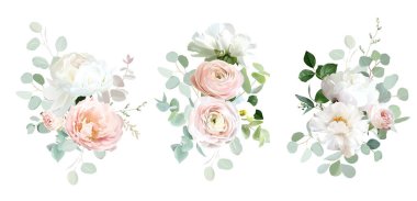 Klasik pembe gül, beyaz şakayık, allık pembe ranunculus, okaliptüs, yeşil ortanca, adaçayı yeşili vektör tasarımı düğün bahar buketleri. Çiçekli yaz suluboya. Elementler izole ve düzenlenebilir.