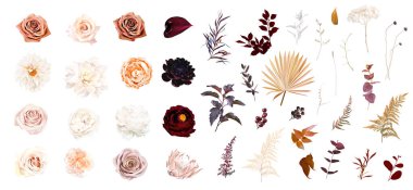 Moody boho moda vektör tasarımı büyük çiçek seti. Şeftali rengi turuncu ve kızarık gül, bordo kırmızısı yıldız çiçeği ve gül, koyu anthurium, kızarık protea, kahverengi kurutulmuş bitkiler. Düğün dekorasyonu. İzole ve düzenlenebilir