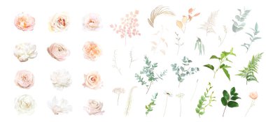 Şeftali, beyaz şakayık, manolya, kızarık pembe ranunculus, okaliptüs, okaliptüs, kır çiçekleri, yeşil vektör dizaynı. Çiçekli yaz suluboya. Düğün çiçekleri. Elementler izole ve düzenlenebilir.