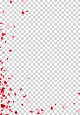 Beyaz romantik vektör kartının üzerine kırmızı gül yaprakları düşüyor. Kalp düğünü tasarımı. Aşk arkaplanı. Moda afişi. Sevgililer Günü şablonu. Tüm elementler izole edildi