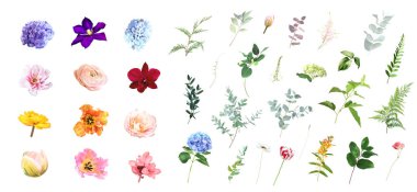 Parlak lale çiçekleri, güller, pembe şakayıklar, ortanca, yeşillik ve dallar Paskalya çiçekleri büyük bir set. Kalın renkli suluboya. Çiçek açan bahçe. Bahar çiçekleri. Elementler izole ve düzenlenebilir.