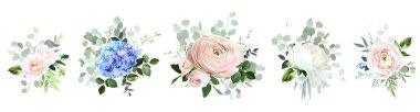 Klasik pembe gül, beyaz şakayık, allık pembe ranunculus, okaliptüs, mavi ortanca, adaçayı yeşili vektör tasarımı düğün bahar buketleri. Çiçekli yaz suluboya. Elementler izole ve düzenlenebilir.
