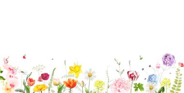 Bahar çiçekleri ve bitkiler vektör tasarım çerçevesi. Tulip, nergis, papatya çiçekleri, beyaz arka planda yapraklar. Yeşillik düğün davetiyesi. Suluboya kart. Elementler izole ve düzenlenebilir.