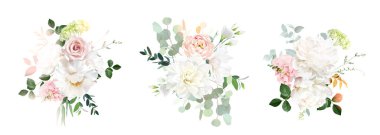 Klasik pembe gül, beyaz şakayık, allık pembe ranunculus, okaliptüs, adaçayı yeşili vektör tasarımı düğün bahar buketleri. Çiçek seti. Çiçekli yaz suluboya. Elementler izole ve düzenlenebilir.
