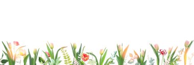 Pembe laleler ve kır çiçekleri vektör tasarım çerçevesi. El boyası dallar, çiçekler, beyaz arka planda yapraklar. Yeşillik düğün davetiyesi. Suluboya kart. Elementler izole ve düzenlenebilir.