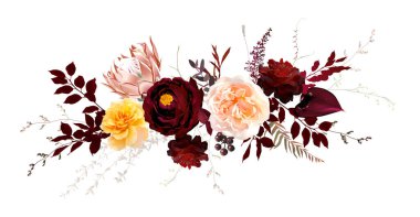 Moody boho moda vektör tasarımı çiçek buketi. Şeftali rengi turuncu ve sarı gül, Burgundy kırmızısı yıldız çiçeği ve gül, koyu anthurium, kızaran protea, kahverengi bitkiler. Düğün dekorasyonu. İzole ve düzenlenebilir