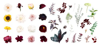 Moody boho moda vektör tasarımı büyük çiçek seti. Pembe allık gül, bordo kırmızısı yıldız çiçeği, koyu şakayık, sarı ayçiçeği, iris, lale, orkide, yıldız çiçeği, yeşillik. Düğün dekorasyonu. İzole ve düzenlenebilir