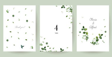 Bitkisel minimalist vektör pankartları. El boyaması bitkiler, dallar, beyaz arka planda yapraklar. Yeşillik düğünü basit şablonlar. Suluboya kartları. Tüm elementler izole ve düzenlenebilir.