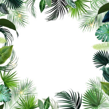 Tropik çiçekler ve vektör tasarım kartı. Güneş ışığı, günbatımı palmiye yaprakları, zümrüt canavarı, orman palmiye yaprakları çerçevesi. Egzotik ada düğün davetiyesi. Elementler izole ve düzenlenebilir.