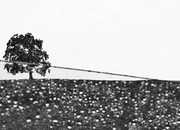 abstract background. monochrome texture. black and white textured. tree