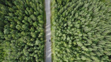 Güzel ormanın hava manzarası. İsveç 'te orman yolu İHA' dan