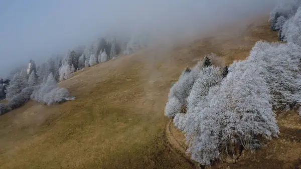 Drone 'dan güzel manzara. Tirol. Avusturya