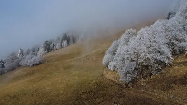 Drone 'dan güzel manzara. Tirol. Avusturya