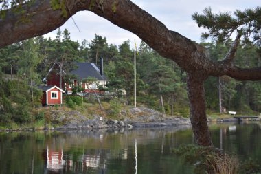 Ormanda küçük bir ev.