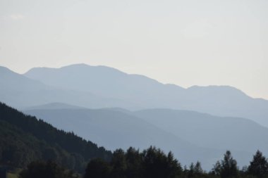 Ormanlı ve ağaçlı güzel dağ manzarası