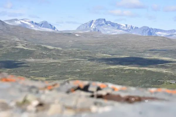 Doğanın güzel manzarası