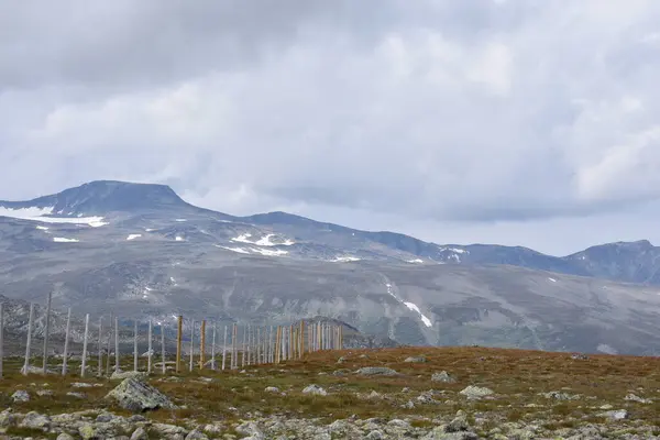 Yüksek dağlı güzel bir manzara.