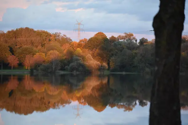 Gölü ve ağacı olan güzel bir sonbahar ormanı