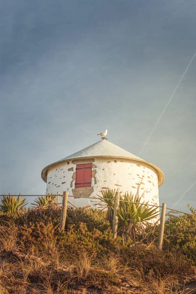 Seaside Serenity Molino Viento Rústico Playa Apulia — Foto de Stock
