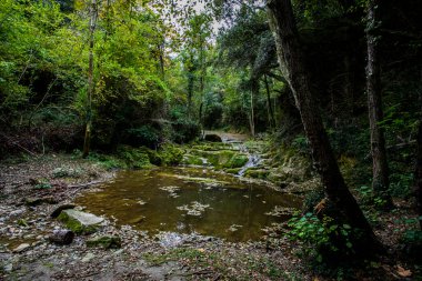 La Vall D En Bas 'taki sonbahar nehri, La Garrotxa, İspanya.