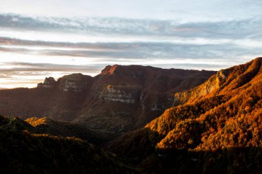 Puigsacalm tepesindeki sonbahar ormanı, La Garrotxa, İspanya.
