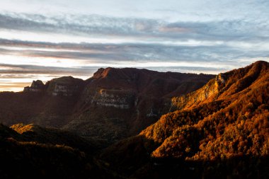 Puigsacalm tepesindeki sonbahar ormanı, La Garrotxa, İspanya.